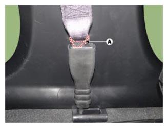 G13029576