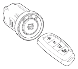 G13033442
