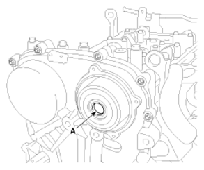 G13033779