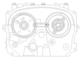 G13033806