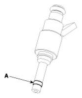 G13035079