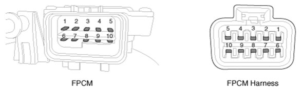 G13035154