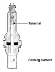 G13036918