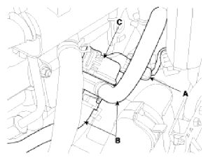 G13036973