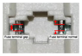 G13037384
