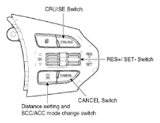 G13044106