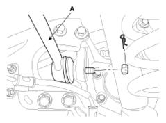 G13044834