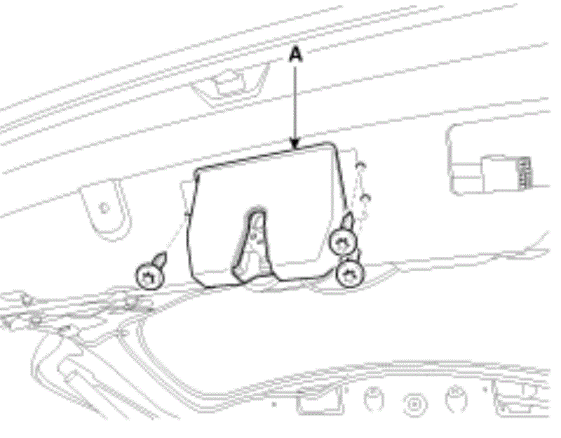 G13045754
