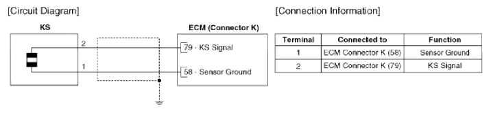 G13052581