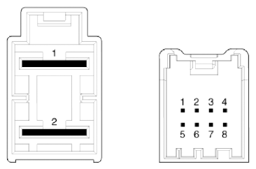 G13053191