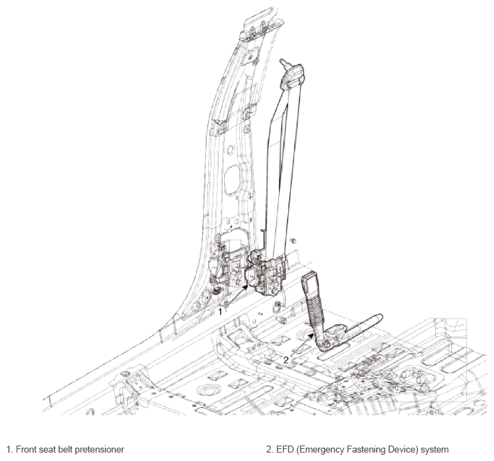 G13054089