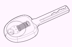 G13054796
