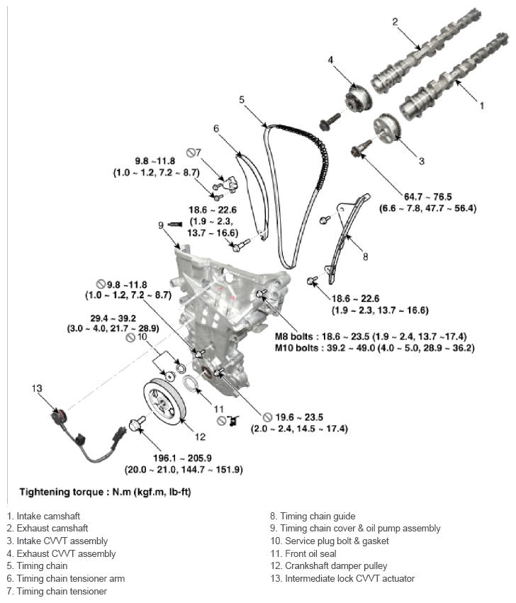 G13055066