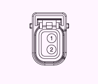 G13055565