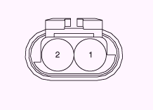 G13055576