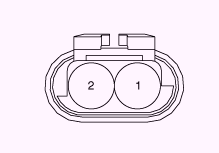 G13055577