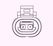 G13055578