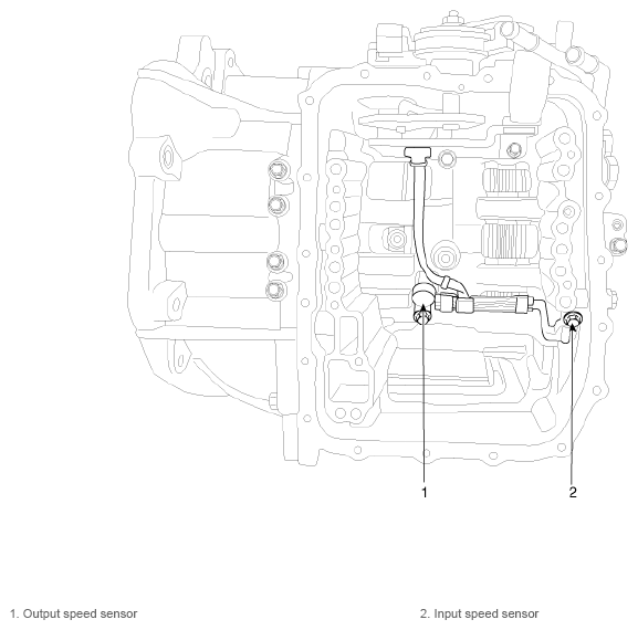 G13077845