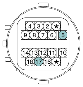 G13077958