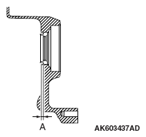 G13089439