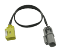 G13127567