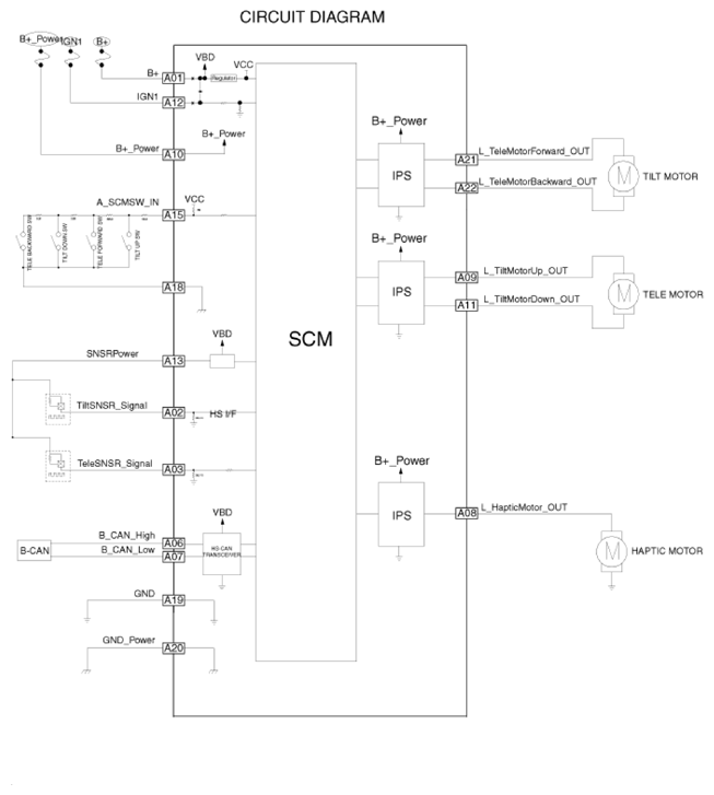 G13144559