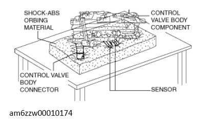 G13150561