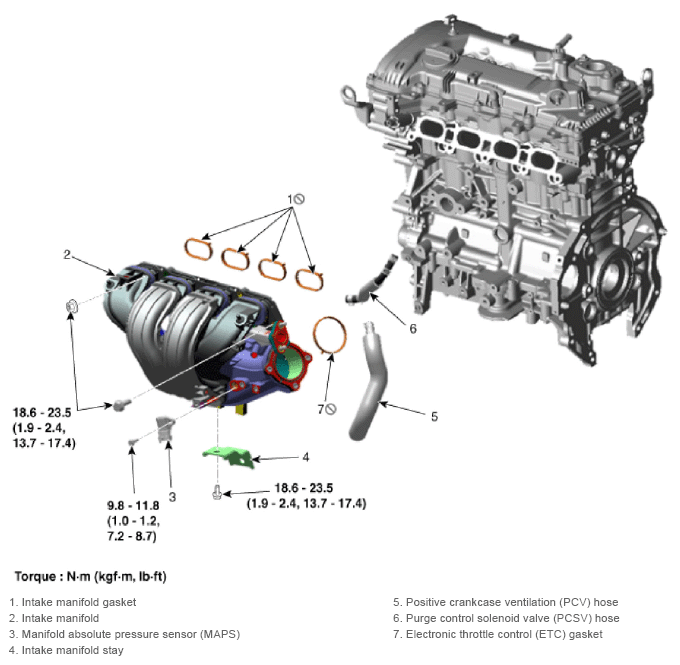 G13155290