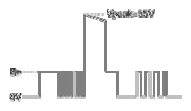 G13155688