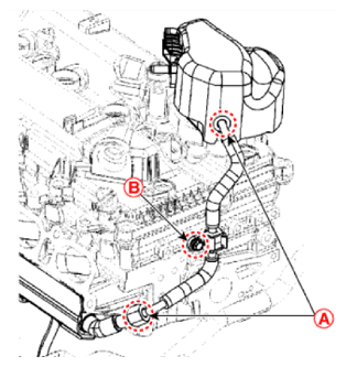G13155863