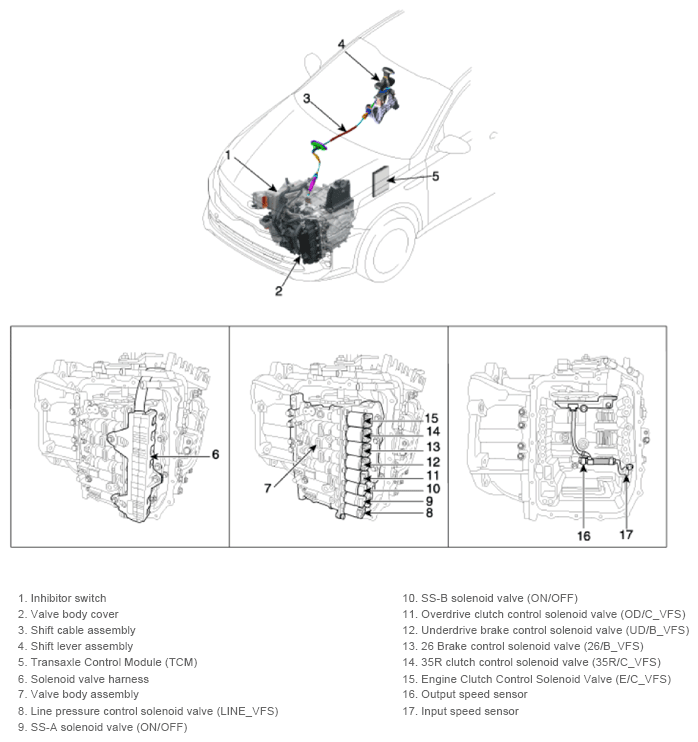 G13155922