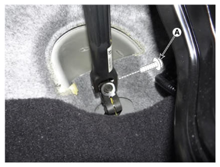 G13156425
