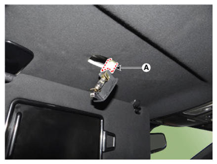 G13158233