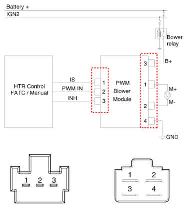 G13158877