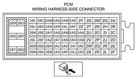 G13173995
