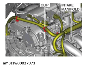 G13174517