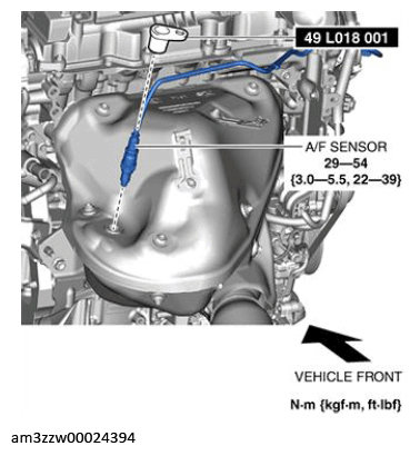 G13175505