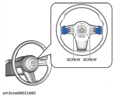 G13176961