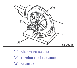 G13231396