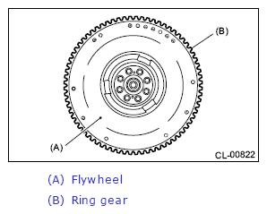 G13233973