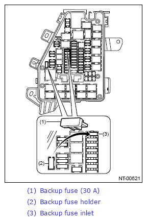 G13246549