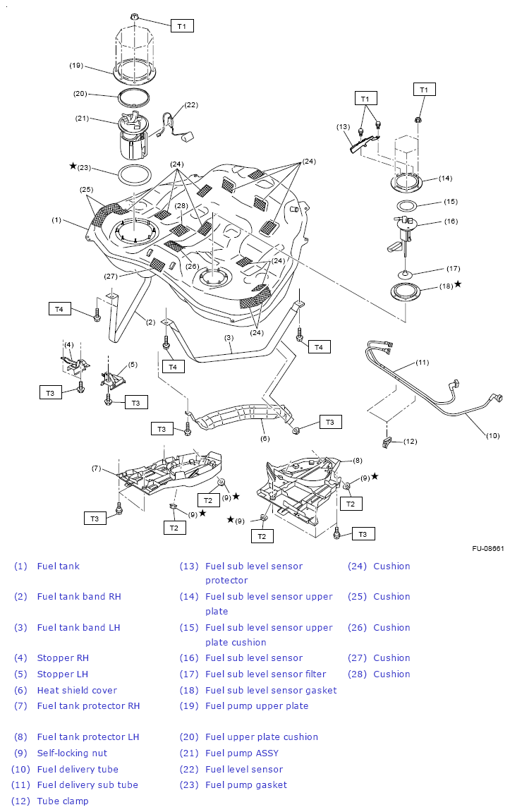 G13246658