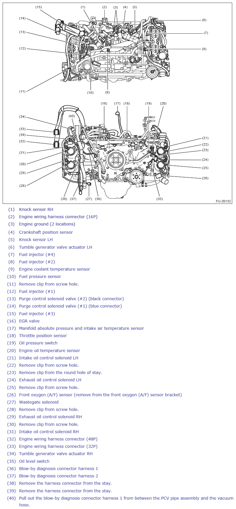 G13258460