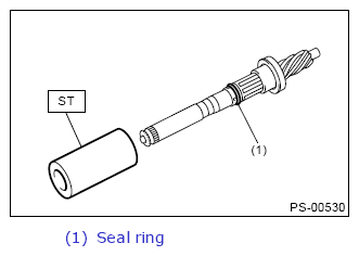 G13262185