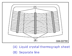 G13262819