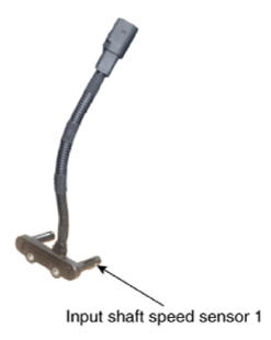 G13281070