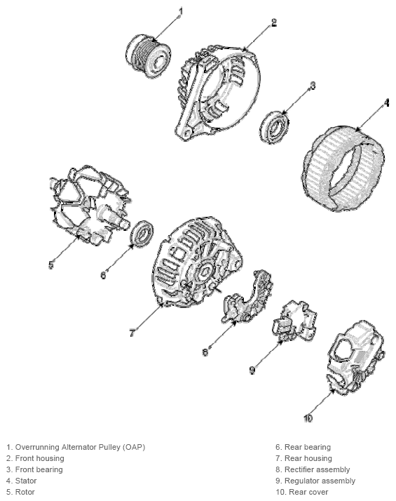 G13283619