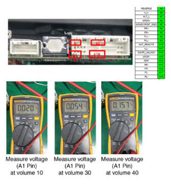 G13305593