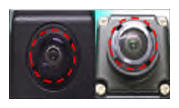 G13305687