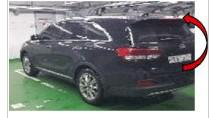 G13305688